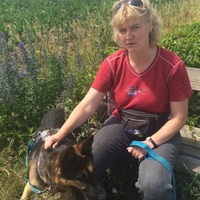 Sonja N.