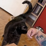 Foto aus der Galerie von Carmen