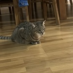 Foto aus der Galerie von Carmen