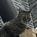 Foto aus der Galerie von Carmen
