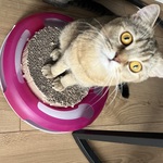 Foto aus der Galerie von Michelle