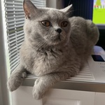 Foto aus der Galerie von Michelle