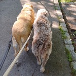 Foto aus der Galerie von Mia